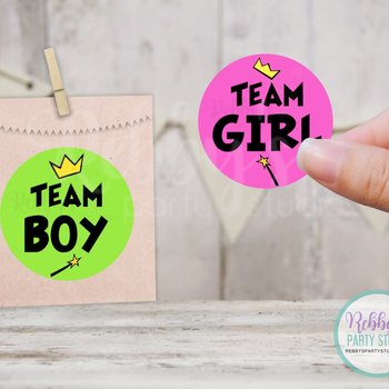 Fairly Godparents Gender Reveal Team Boy & Team Girl Round Stickers